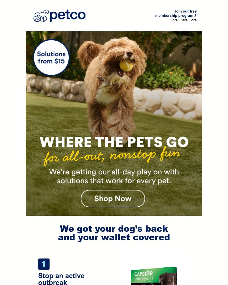 Screenshot of email with subject /media/emails/keep-fall-adventures-fun-not-itchy-6377f8-cropped-3475249f.jpg