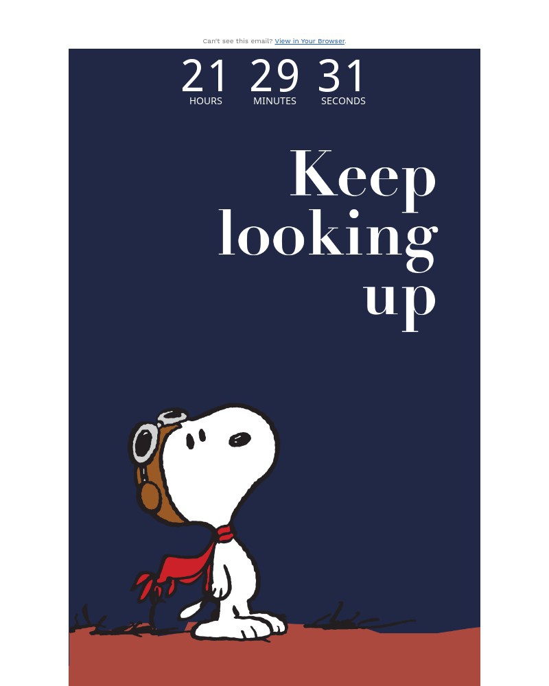 Screenshot of email sent to a AVI-8 Newsletter subscriber