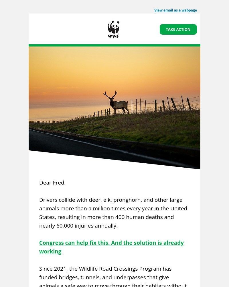 Screenshot of email with subject /media/emails/keep-wildlife-safe-from-busy-roads-8abd91-cropped-f4e13528.jpg