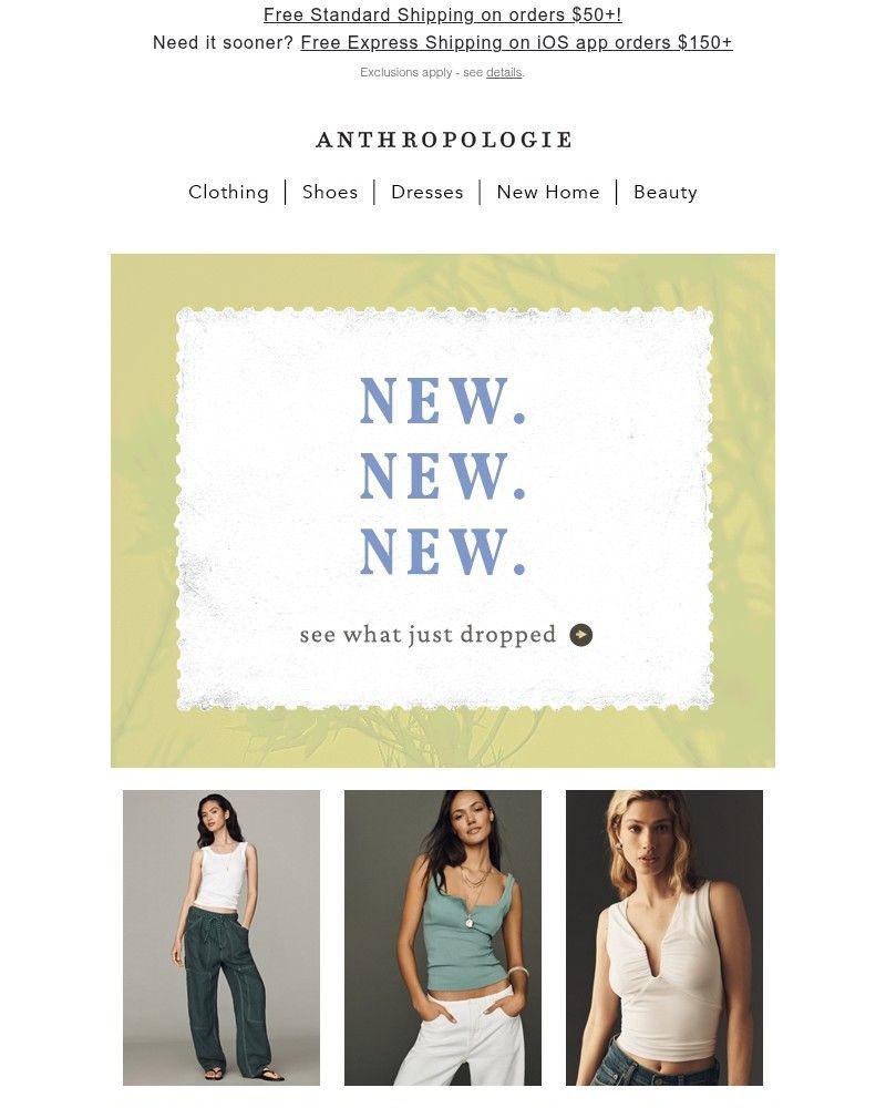 Screenshot of email sent to a Anthropologie Newsletter subscriber