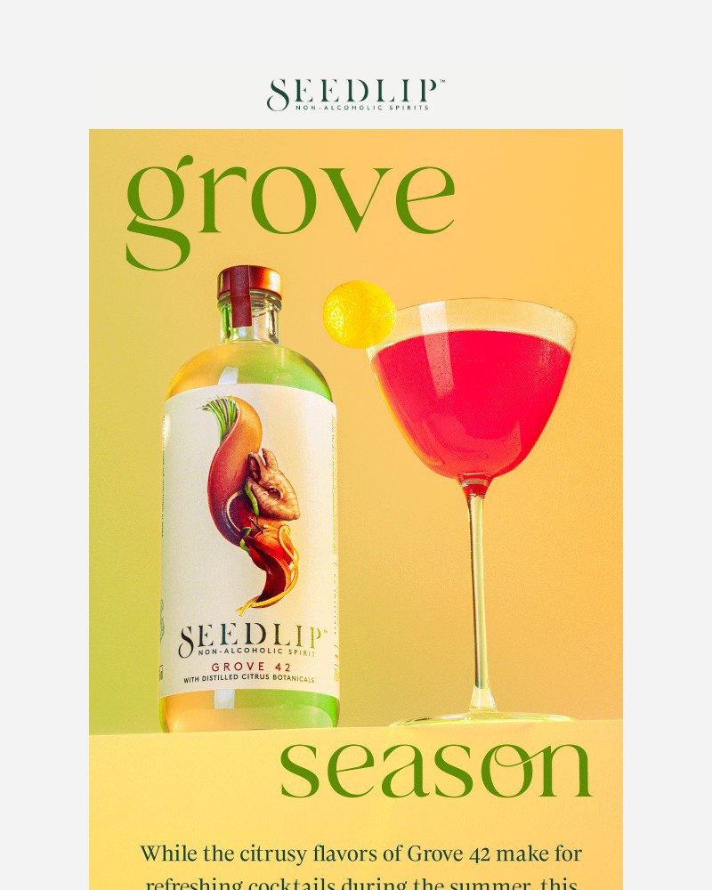 Screenshot of email sent to a Seedlip Newsletter subscriber