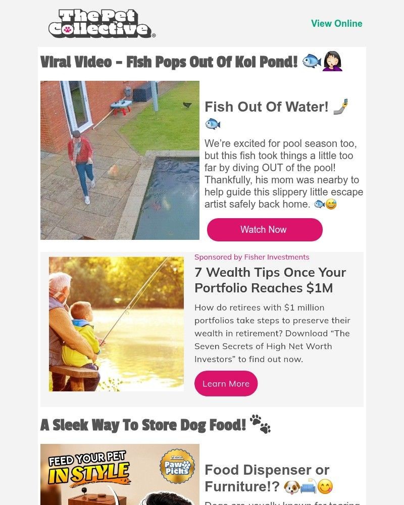 Screenshot of email with subject /media/emails/kick-off-your-holiday-weekend-with-these-party-animals-d03db3-cropped-be671140.jpg