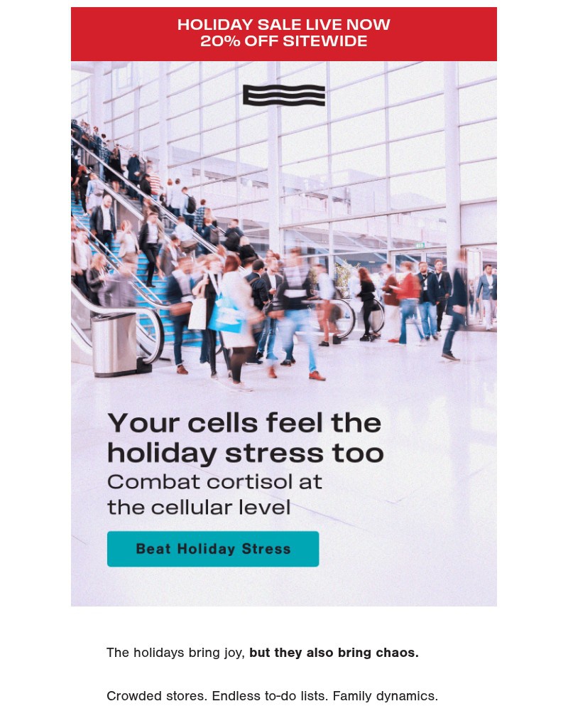 Screenshot of email with subject /media/emails/kill-holiday-stress-4c2628-cropped-aa991034.jpg