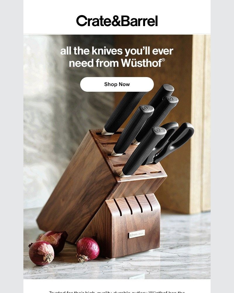 Screenshot of email with subject /media/emails/know-which-knives-you-need-start-here-299ec7-cropped-a794bcba.jpg