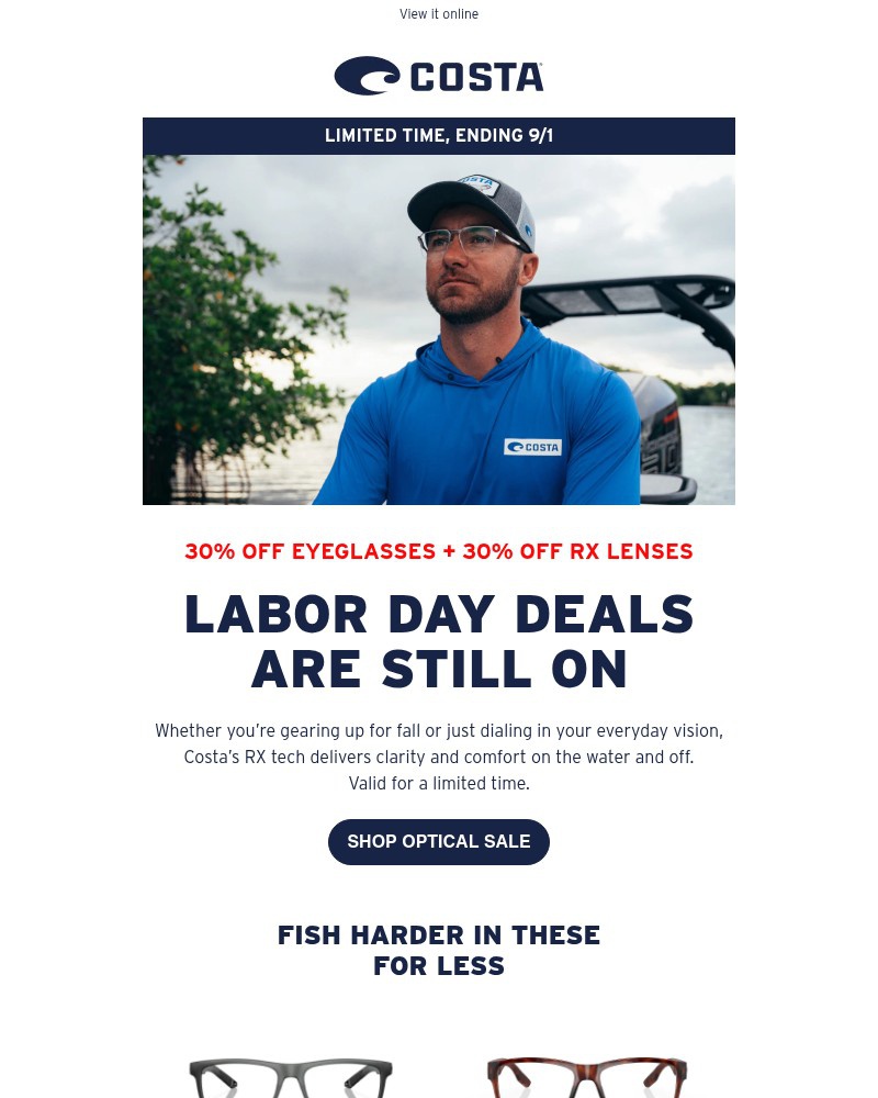 Screenshot of email with subject /media/emails/labor-day-deals-start-saving-now-f605fb-cropped-2f5434e8.jpg