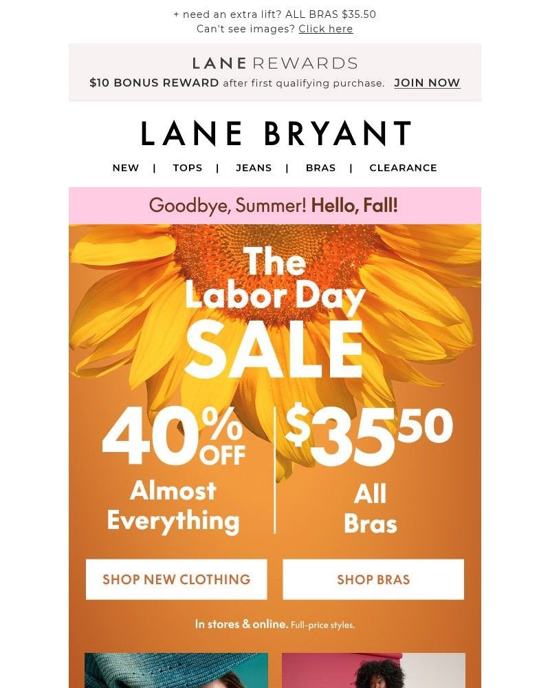 Screenshot of email with subject /media/emails/labor-day-sale-is-on-40-off-almost-everything-3b826a-cropped-f11b276f.jpg