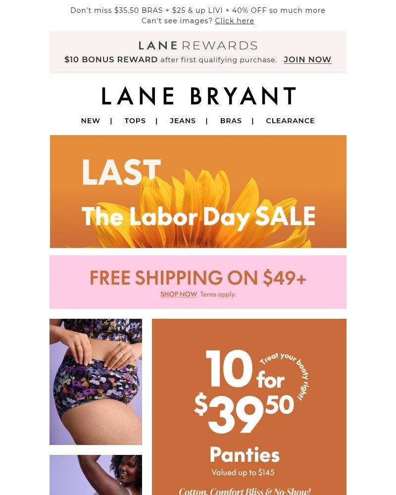 Screenshot of email with subject /media/emails/labor-day-sale-last-call-get-103550-panties-now-a73ae3-cropped-f35b415b.jpg