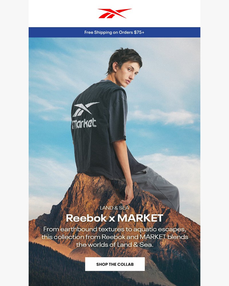 Screenshot of email with subject /media/emails/land-meets-sea-the-market-collab-ad9c86-cropped-28e1fce4.jpg