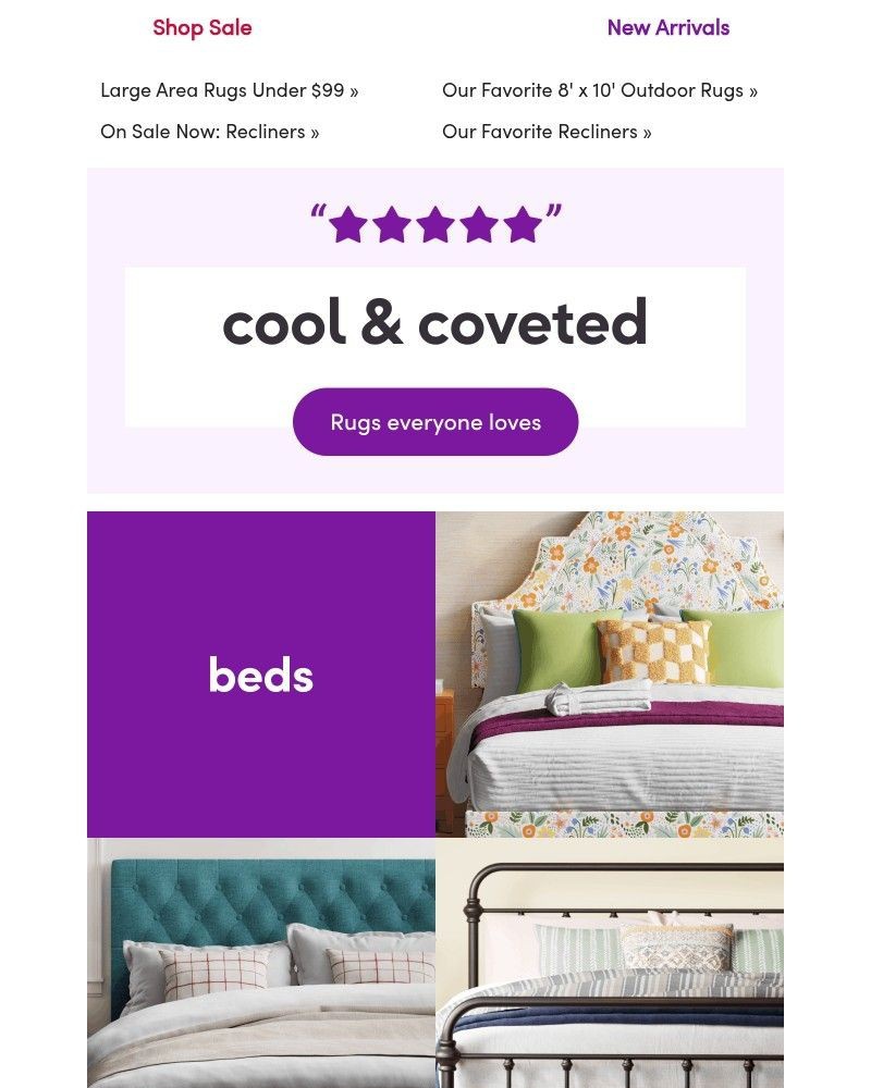 Screenshot of email with subject /media/emails/large-area-rugs-are-heeere-under-99-298bf7-cropped-5fa280ea.jpg