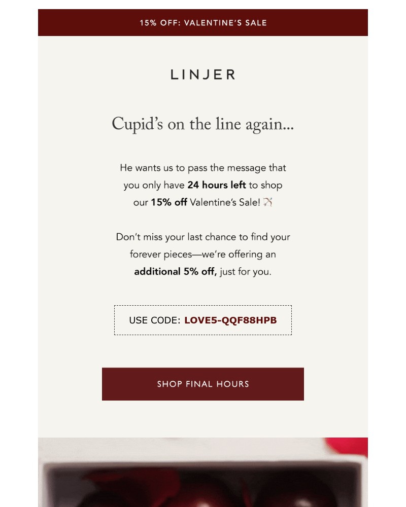 Screenshot of email with subject /media/emails/last-24-hours-valentines-sale-3a3213-cropped-7b6e43ac.jpg