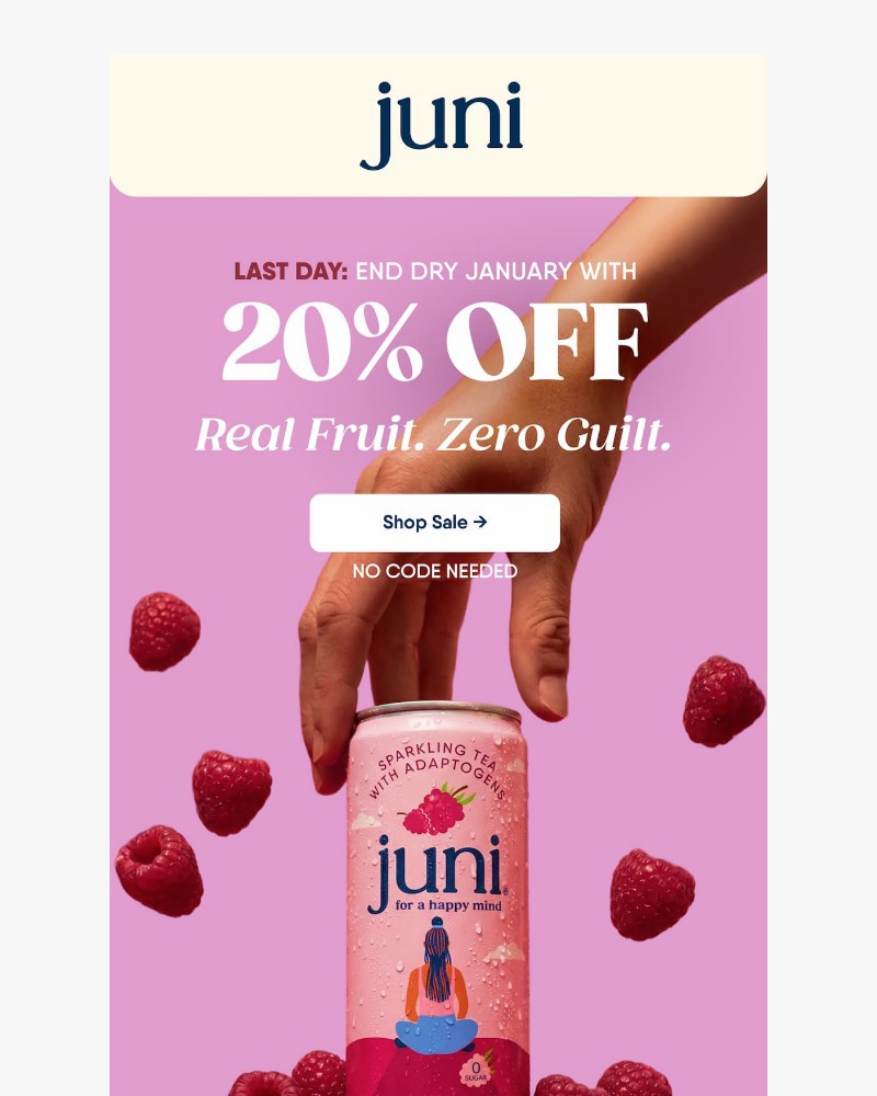 Screenshot of email with subject /media/emails/last-call-20-off-3f8113-cropped-987deeeb.jpg