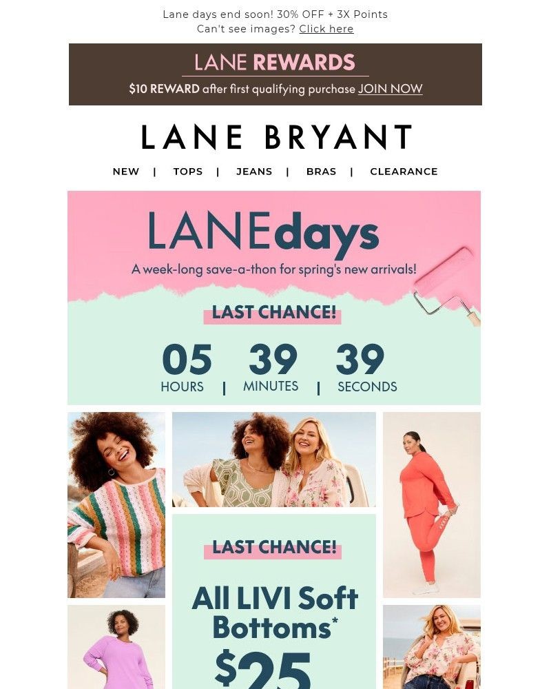 Screenshot of email sent to a Lane Bryant Newsletter subscriber