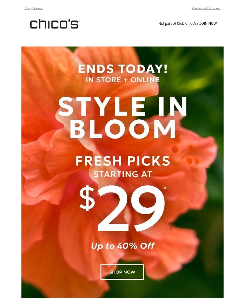 Screenshot of email with subject /media/emails/last-call-29-styles-54cf1c-cropped-8b3eb56f.jpg
