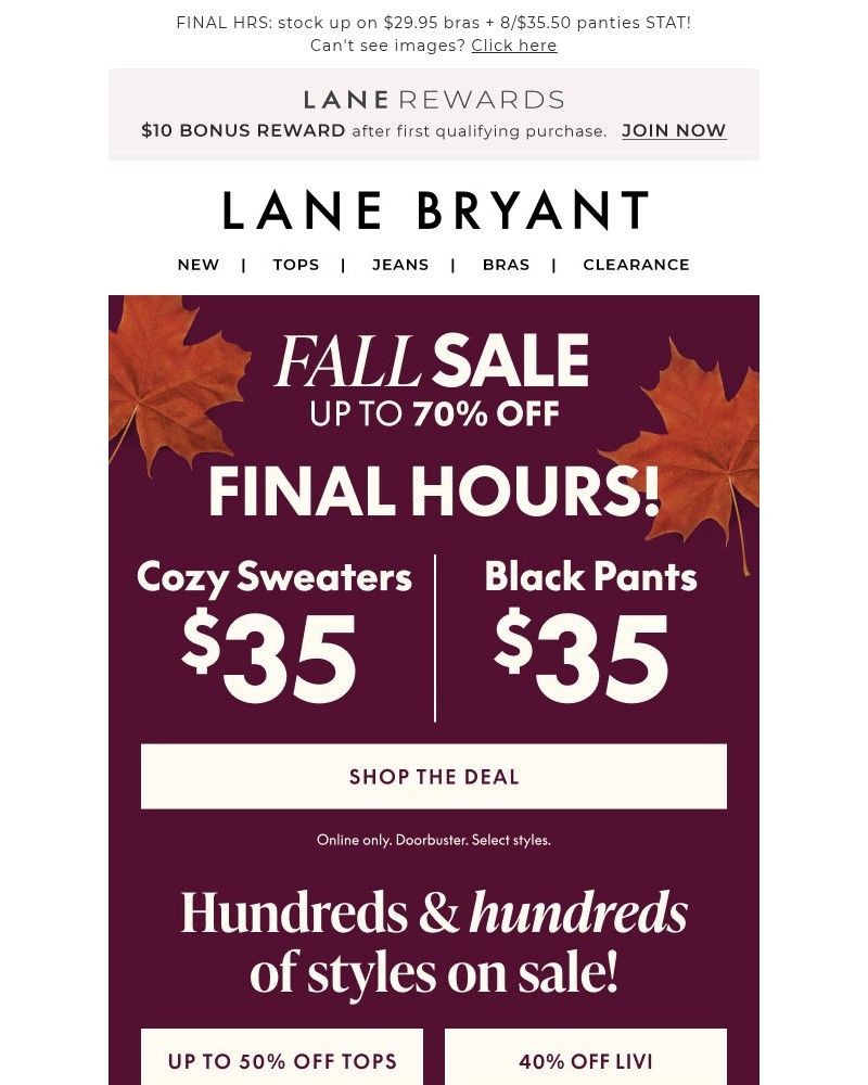 Screenshot of email with subject /media/emails/last-call-35-black-pants-35-sweaters-c52926-cropped-a394d974.jpg