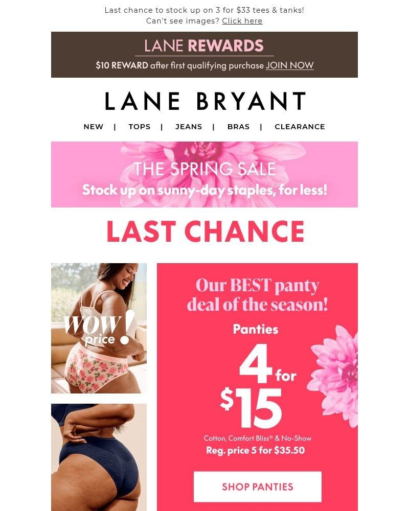 Screenshot of email with subject /media/emails/last-call-4-for-15-panties-you-cannot-miss-224c17-cropped-fa9f36b5.jpg