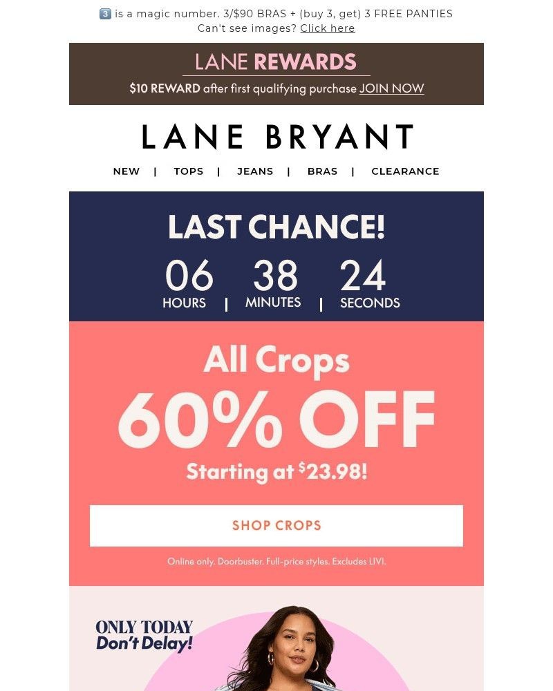 Screenshot of email sent to a Lane Bryant Newsletter subscriber