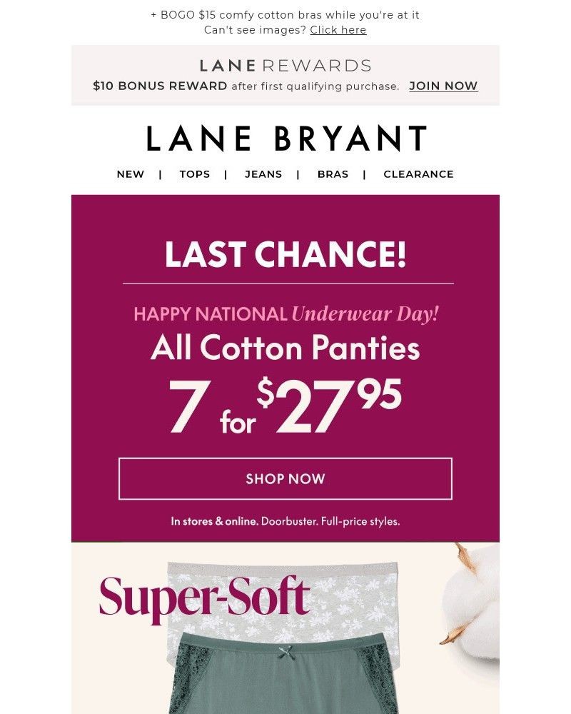 Screenshot of email with subject /media/emails/last-call-72795-panties-are-almost-gone-27671c-cropped-adae8d46.jpg
