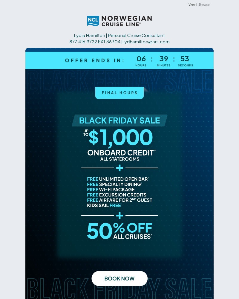 Screenshot of email with subject /media/emails/last-call-black-friday-sale-ends-tonight-76ed8f-cropped-fdc911fb.jpg