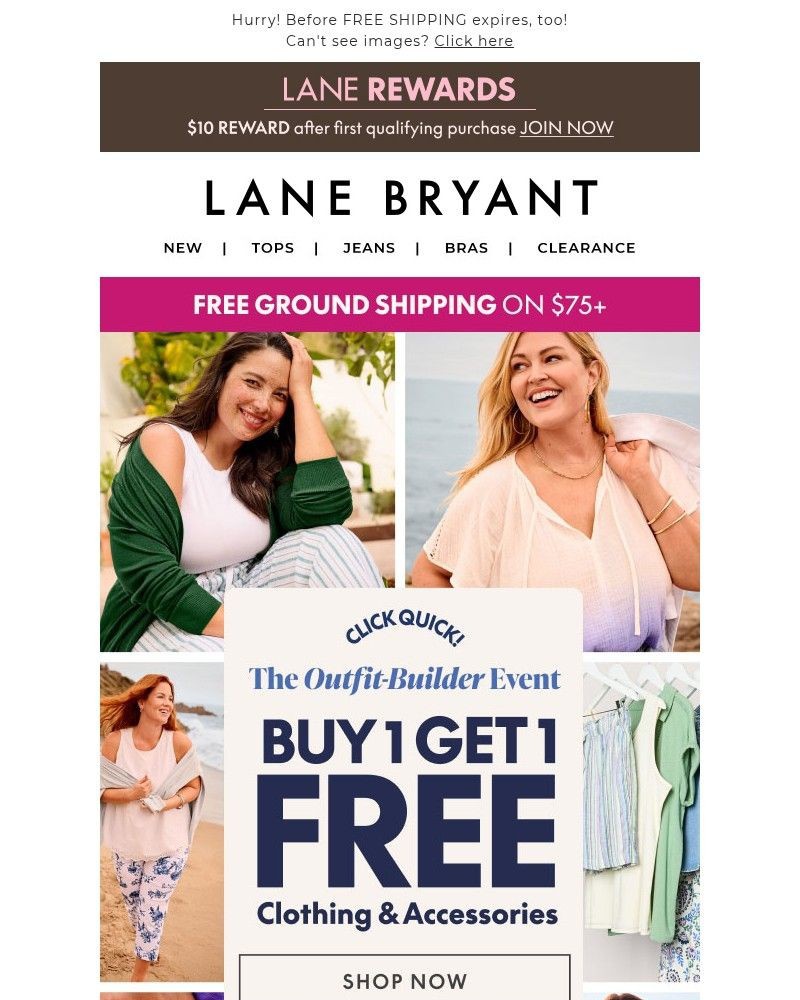 Screenshot of email sent to a Lane Bryant Newsletter subscriber