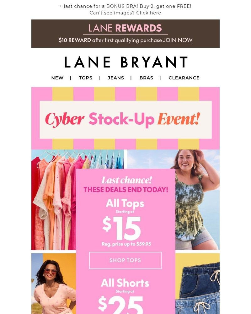 Screenshot of email sent to a Lane Bryant Newsletter subscriber