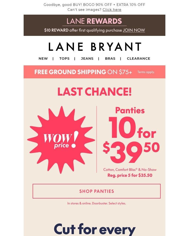 Screenshot of email with subject /media/emails/last-call-for-103950-panties-abb207-cropped-f11e392b.jpg
