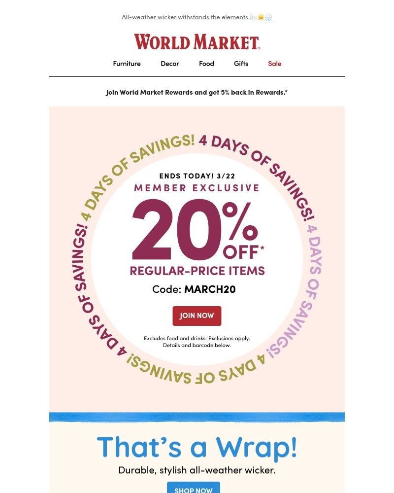 Screenshot of email sent to a World Market Cart abandoner