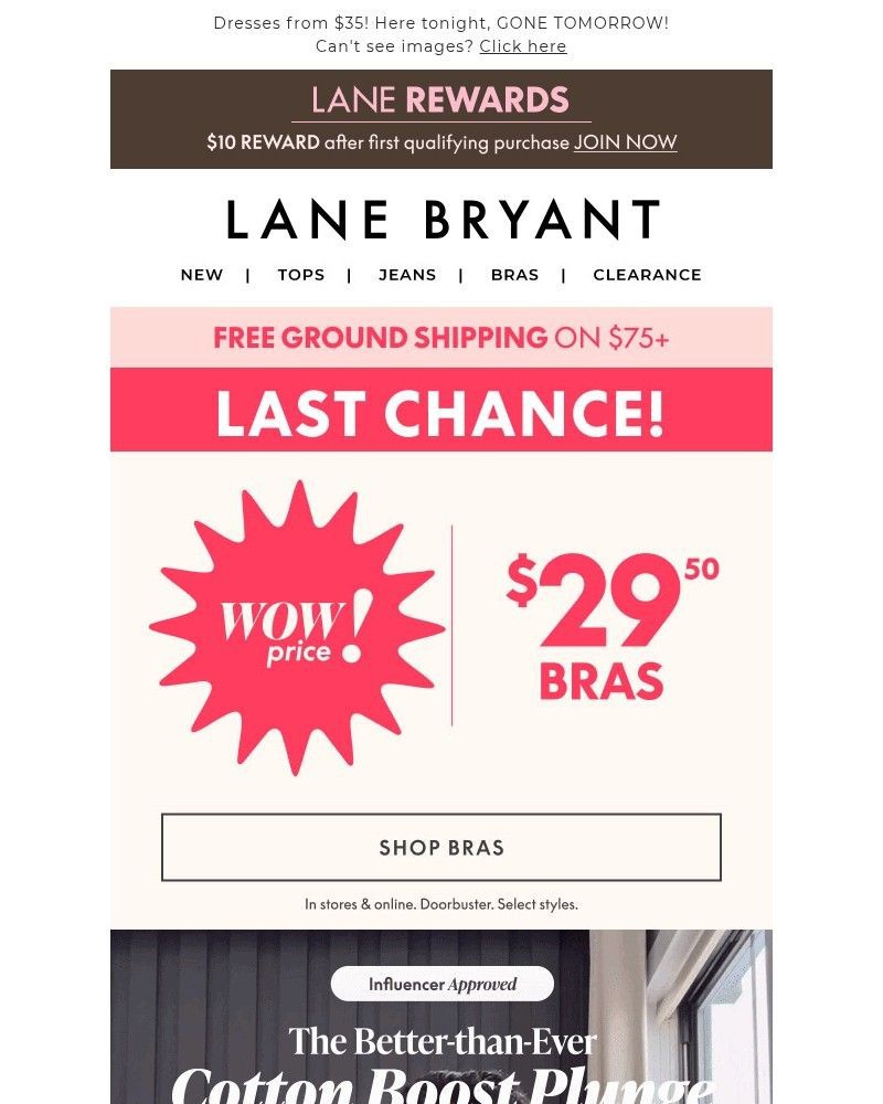 Screenshot of email with subject /media/emails/last-call-for-2950-bras-8ce701-cropped-258dd530.jpg