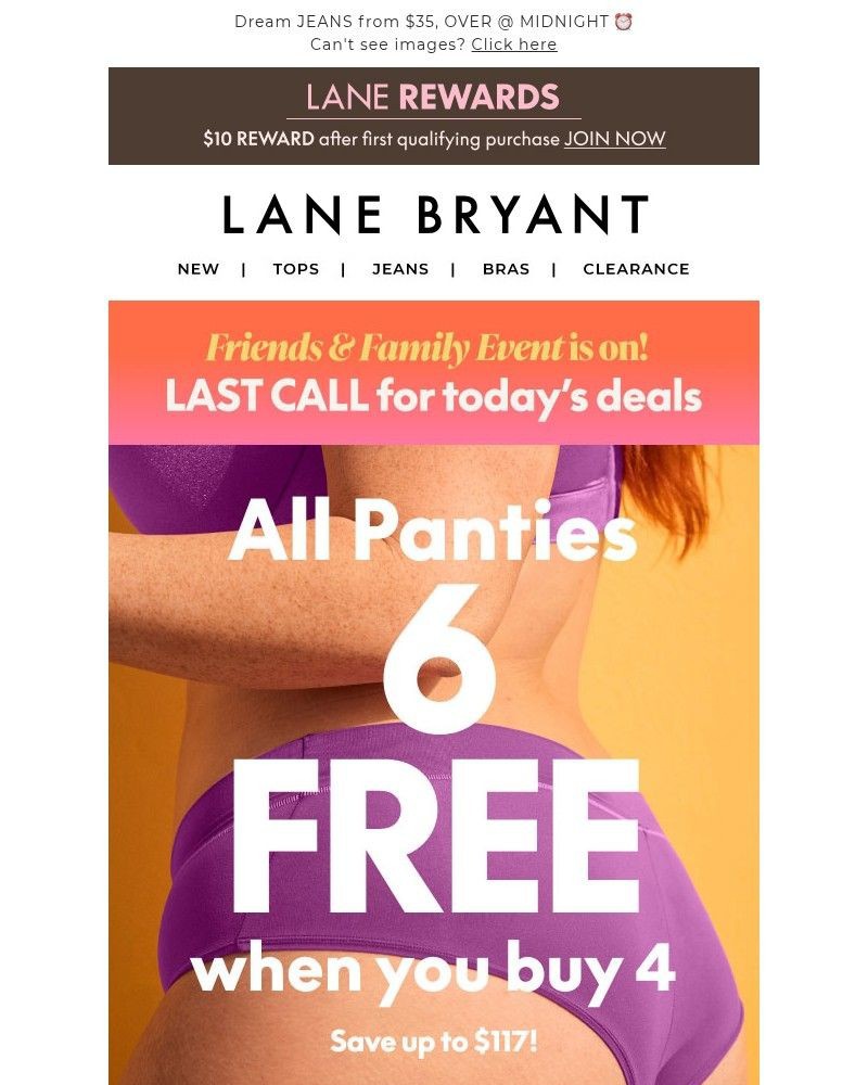 Screenshot of email sent to a Lane Bryant Newsletter subscriber