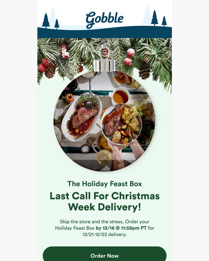 Screenshot of email with subject /media/emails/last-call-for-christmas-delivery-72b339-cropped-00e428ea.jpg