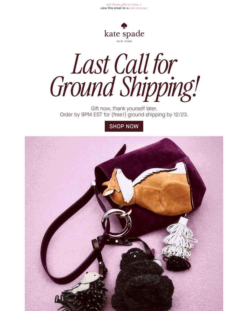 Screenshot of email with subject /media/emails/last-call-for-ground-shipping-3ef0bd-cropped-3ecb879d.jpg