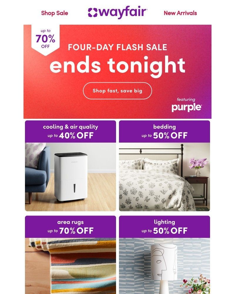 Screenshot of email with subject /media/emails/last-call-for-our-four-day-flash-sale-64ab50-cropped-1e5c959f.jpg