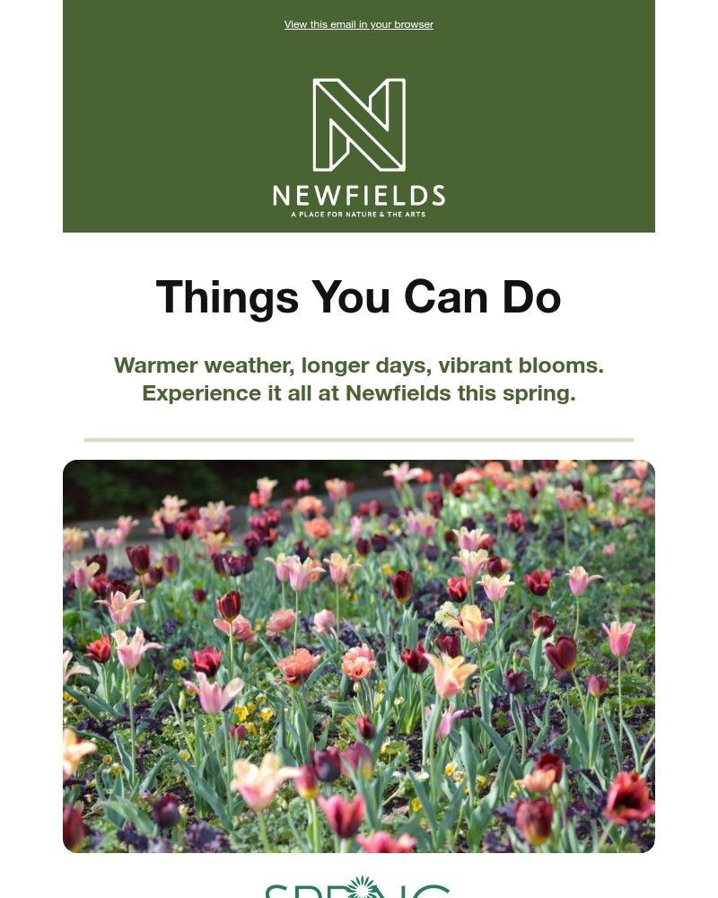 Screenshot of email sent to a Newfields Newsletter subscriber