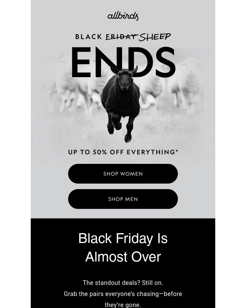 Screenshot of email sent to a Allbirds Newsletter subscriber