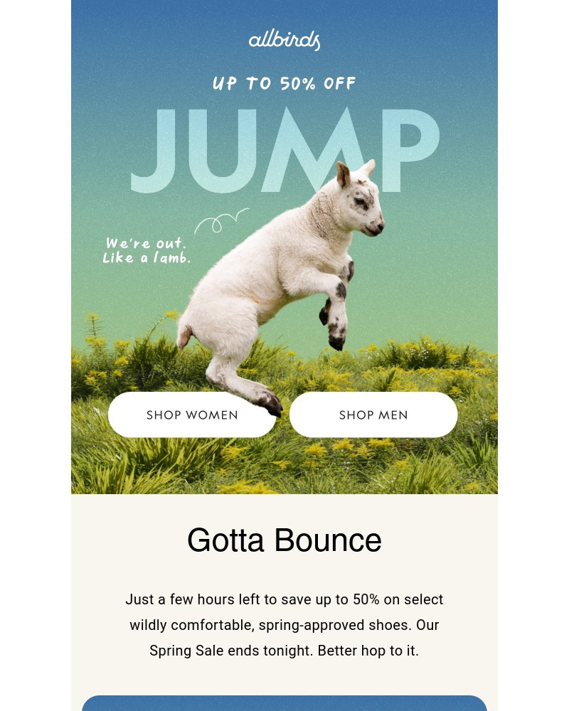 Screenshot of email with subject /media/emails/last-call-for-up-to-50-off-cc409e-cropped-b48a1ab3.jpg