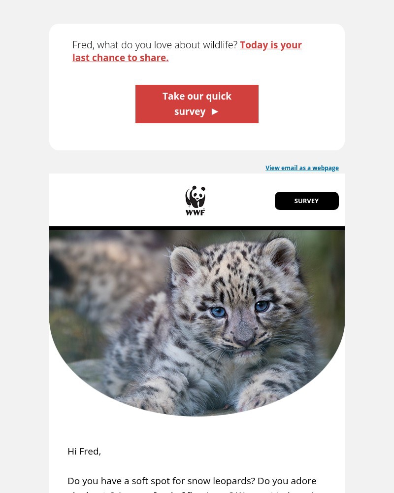 Screenshot of email with subject /media/emails/last-call-for-your-thoughts-5b805c-cropped-0b53d138.jpg