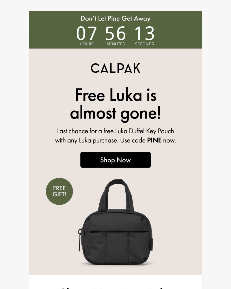 Screenshot of email with subject /media/emails/last-call-free-luka-8cec15-cropped-4e5f1d06.jpg