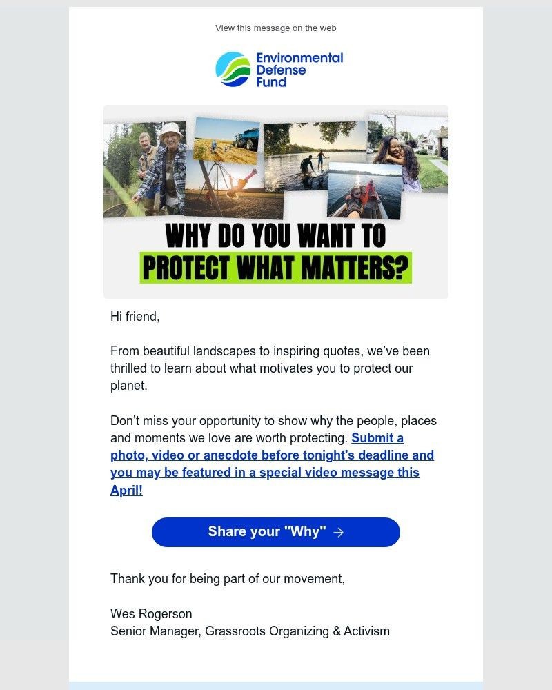 Screenshot of email with subject /media/emails/last-call-lets-protect-what-matters-together-87f84b-cropped-295b6d51.jpg