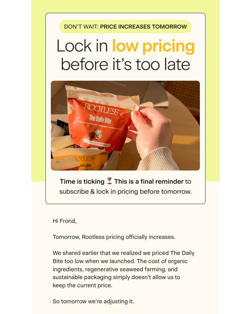 Screenshot of email sent to a Rootless Newsletter subscriber