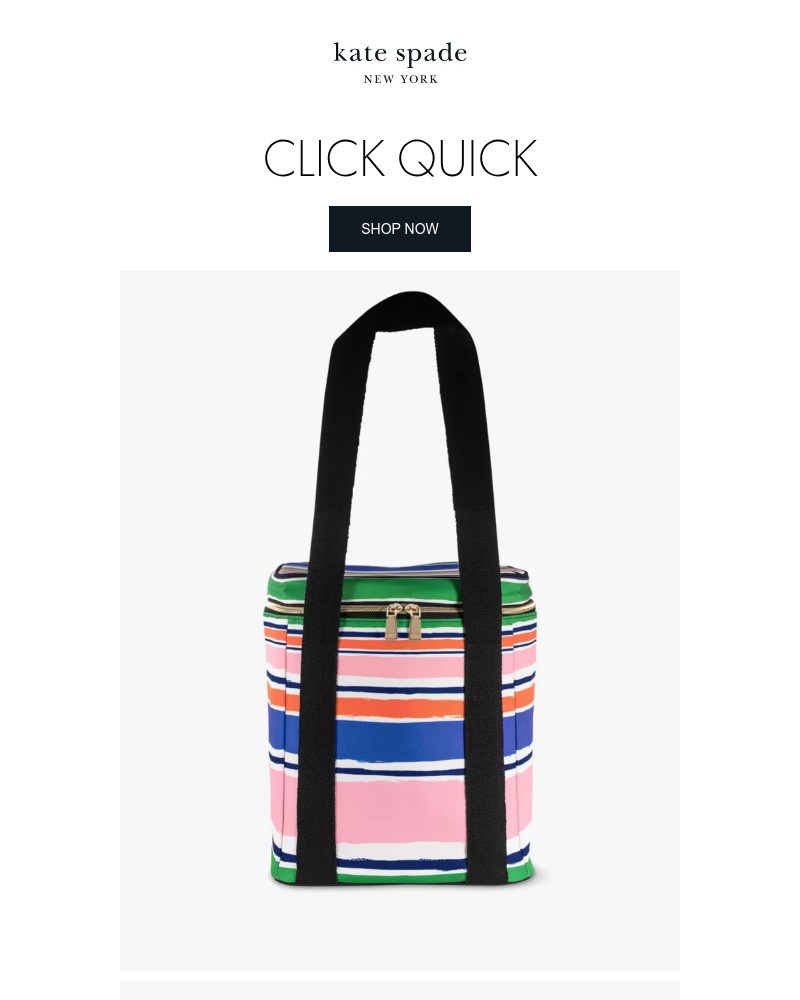 Screenshot of email with subject /media/emails/last-call-shop-your-favorites-now-b91783-cropped-426f7259.jpg