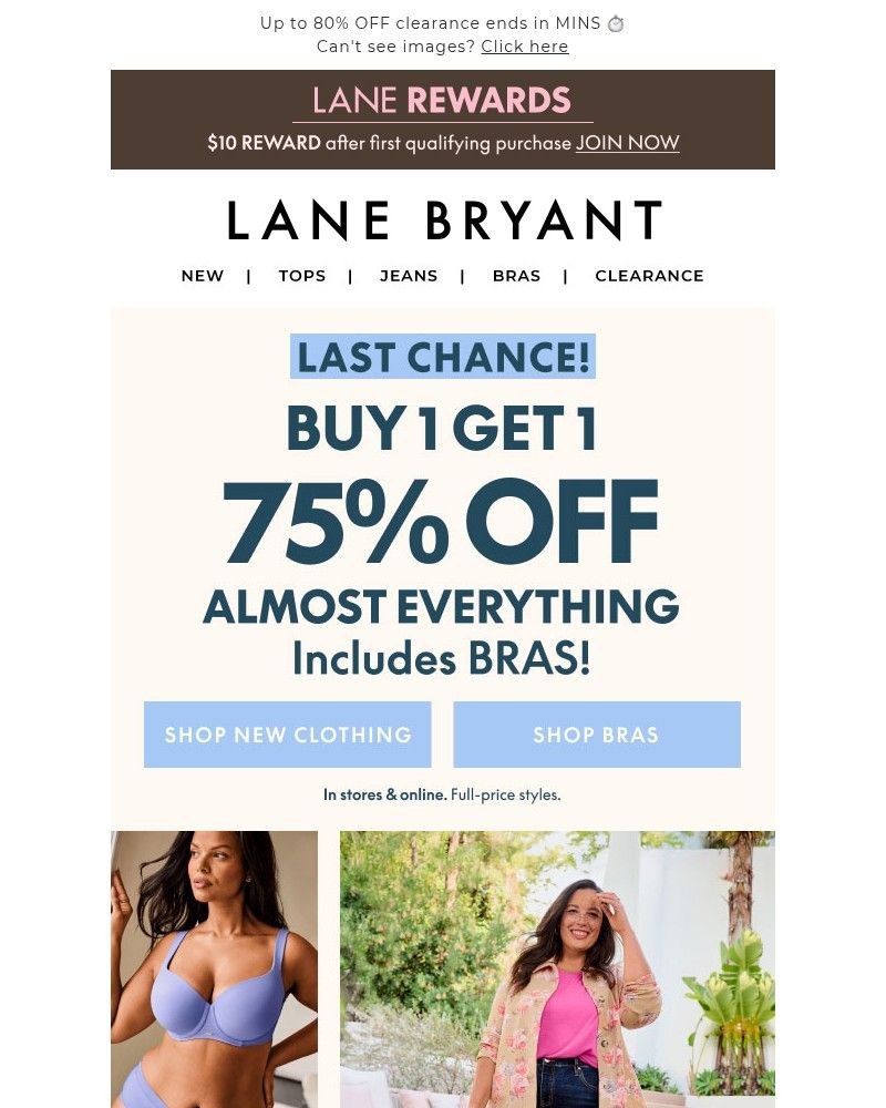 Screenshot of email sent to a Lane Bryant Newsletter subscriber