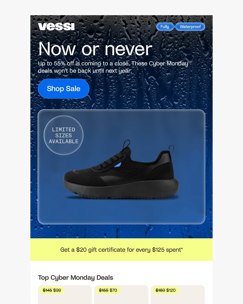 Screenshot of email with subject /media/emails/last-call-up-to-55-off-sitewide-05463d-cropped-9e2cf462.jpg