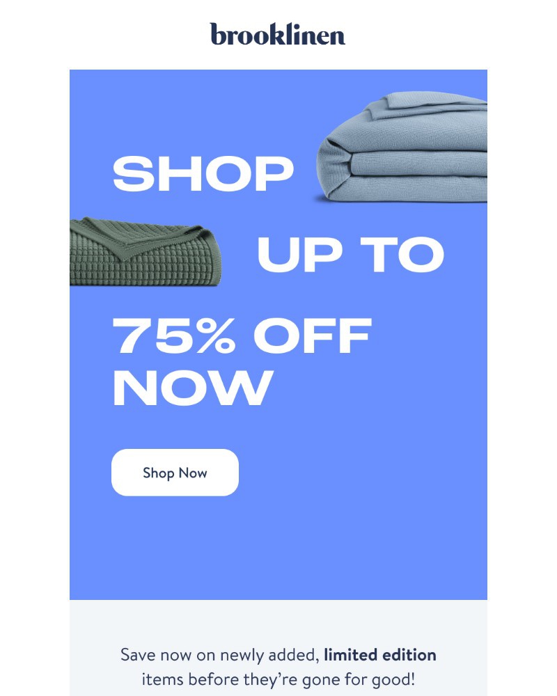 Screenshot of email with subject /media/emails/last-call-up-to-75-off-a80013-cropped-aa02d285.jpg