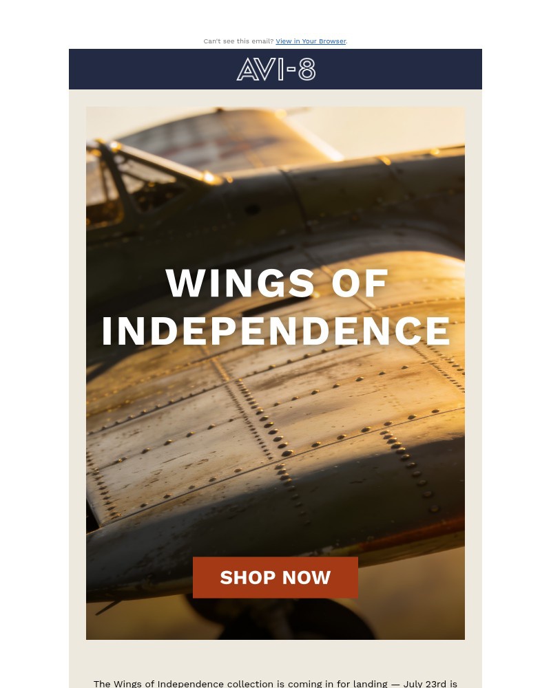 Screenshot of email sent to a AVI-8 Newsletter subscriber