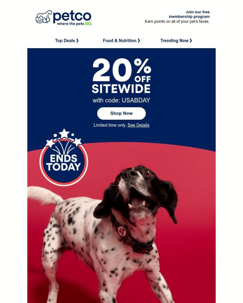Screenshot of email sent to a Petco Newsletter subscriber