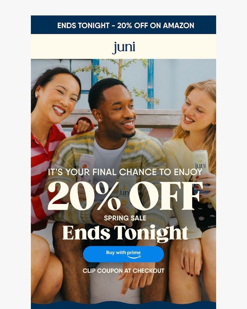 Screenshot of email sent to a Juni Newsletter subscriber