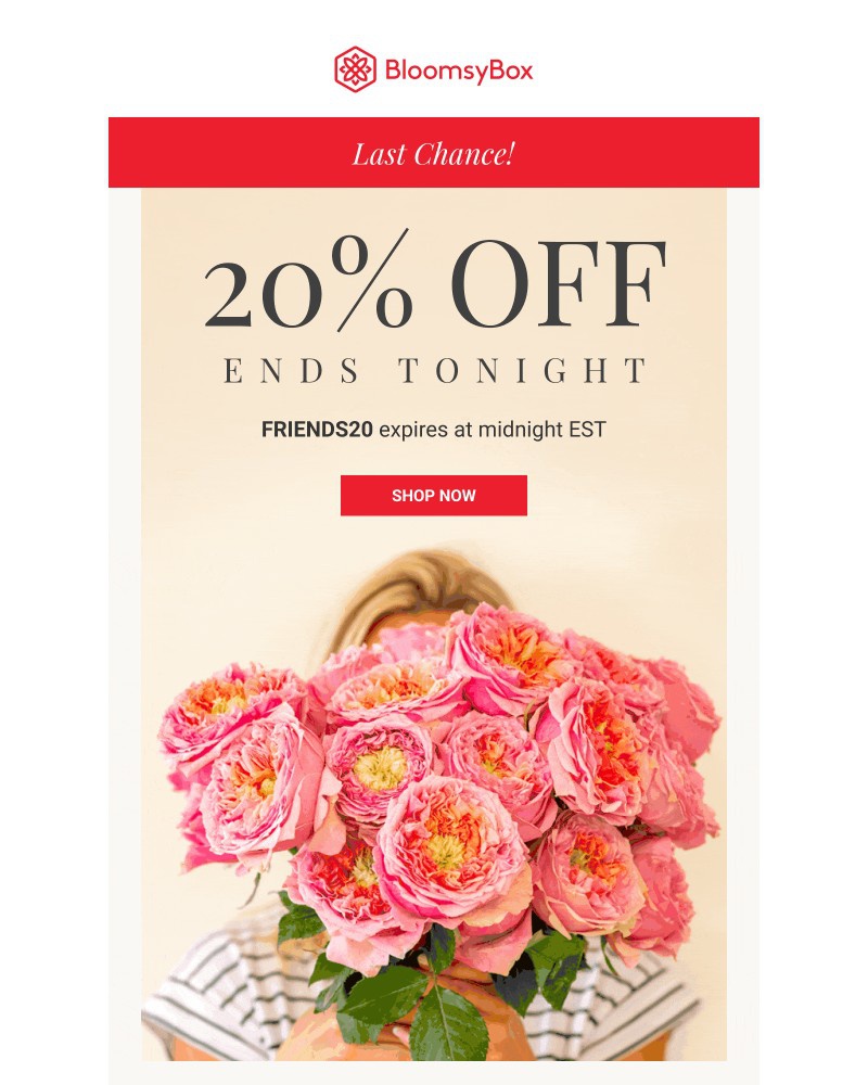 Screenshot of email with subject /media/emails/last-chance-20-off-ends-tonight-at-midnight-19a87b-cropped-2cd8b8b0.jpg