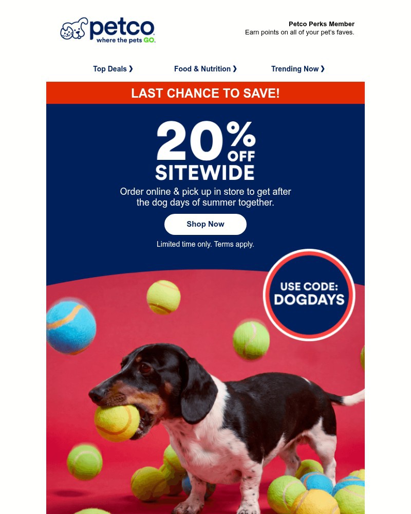Screenshot of email sent to a Petco Newsletter subscriber