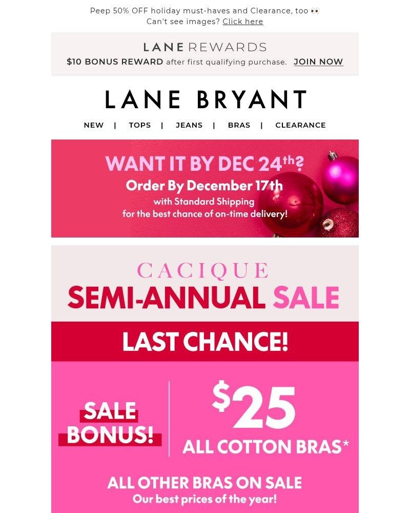 Screenshot of email sent to a Lane Bryant Newsletter subscriber
