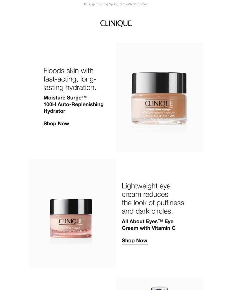 Screenshot of email sent to a Clinique Newsletter subscriber