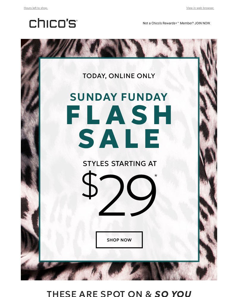 Screenshot of email with subject /media/emails/last-chance-29-styles-a06b50-cropped-17a35fa4.jpg